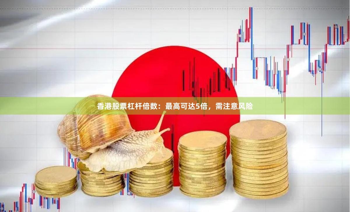 香港股票杠杆倍数：最高可达5倍，需注意风险
