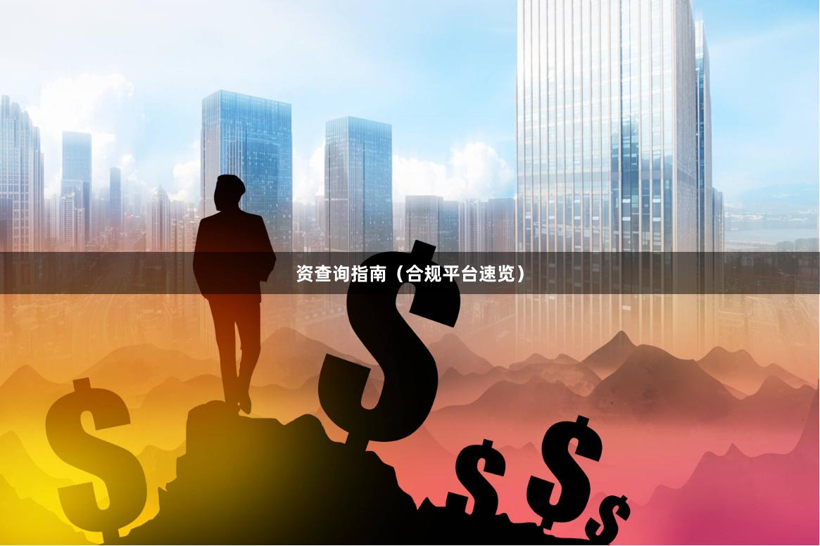 资查询指南（合规平台速览）